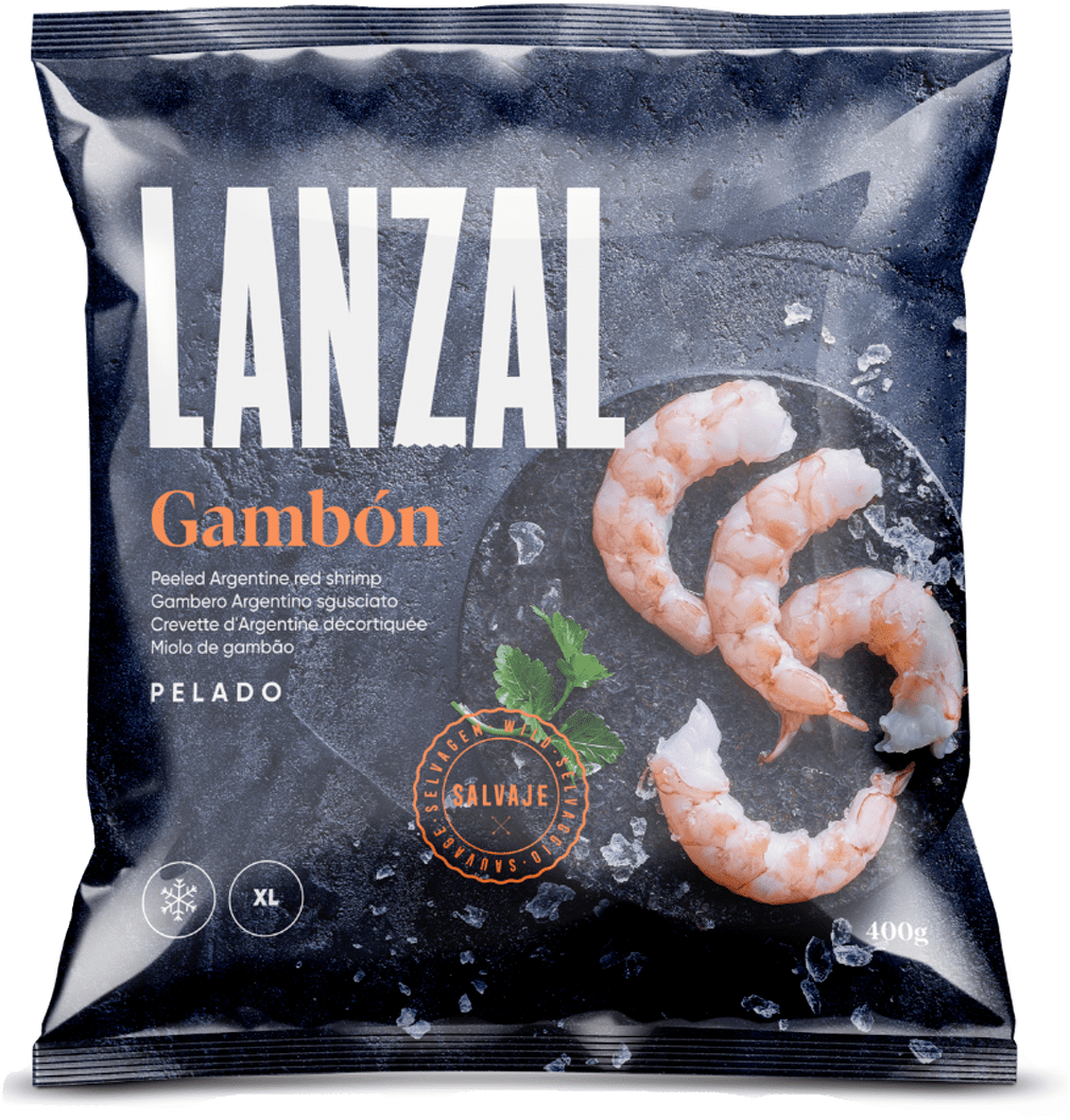 Lanzal - Team, vessels and factories